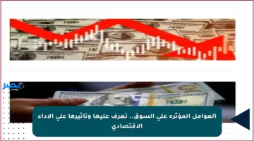 العوامل المؤثرة على السوق.. تعرف عليها وتأثيرها على الأداء الاقتصادي